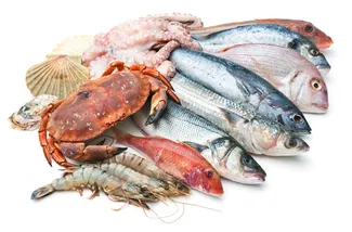 Seafood