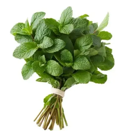 Mint