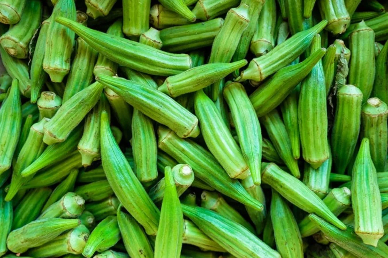 Okra