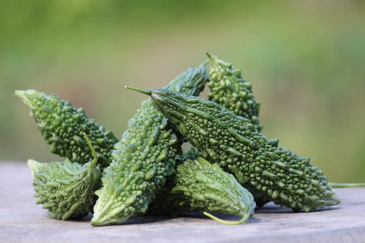 Bittermelon