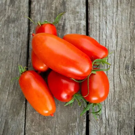 Roma Tomatoes