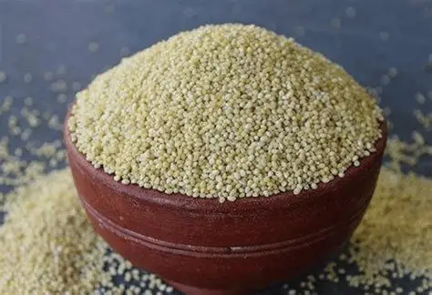 Barnyard Millet