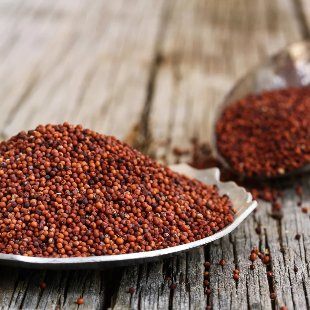 Finger Millet/Ragi