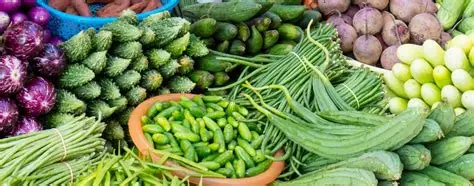 Indian Vegetables