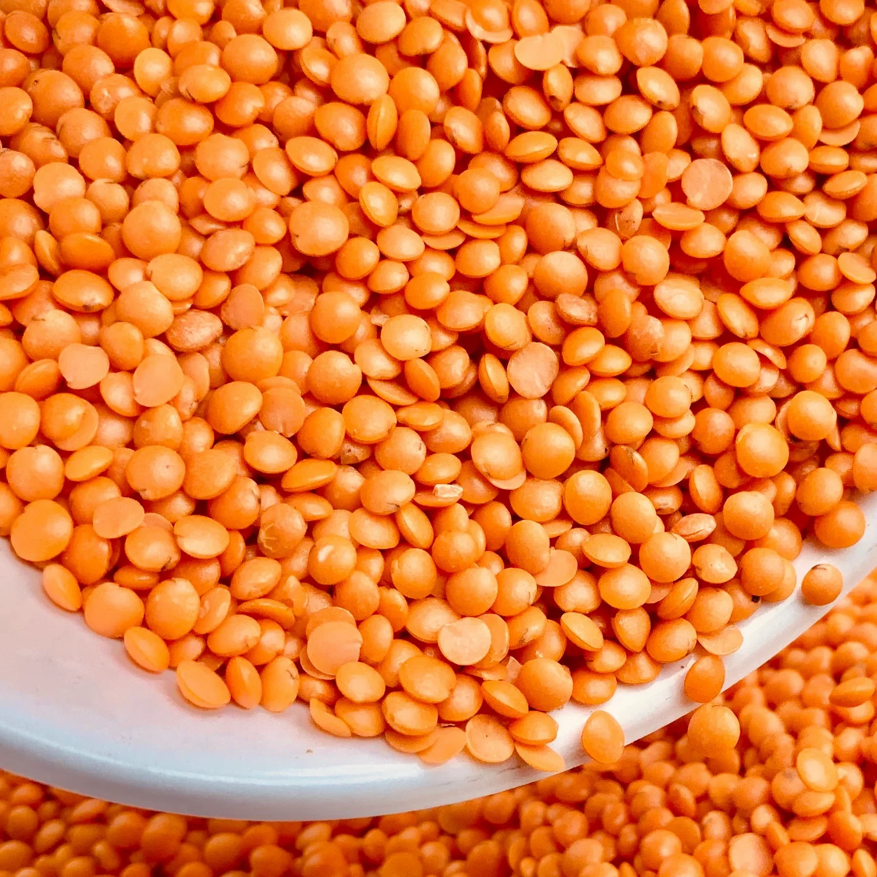 Masoor Dal